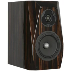 HC-100 SCAN-SPEAK 6.5 inch 66200+SEAS E0042 6.5 inch ebony piano lacquer bookshelf speaker 8Ohm