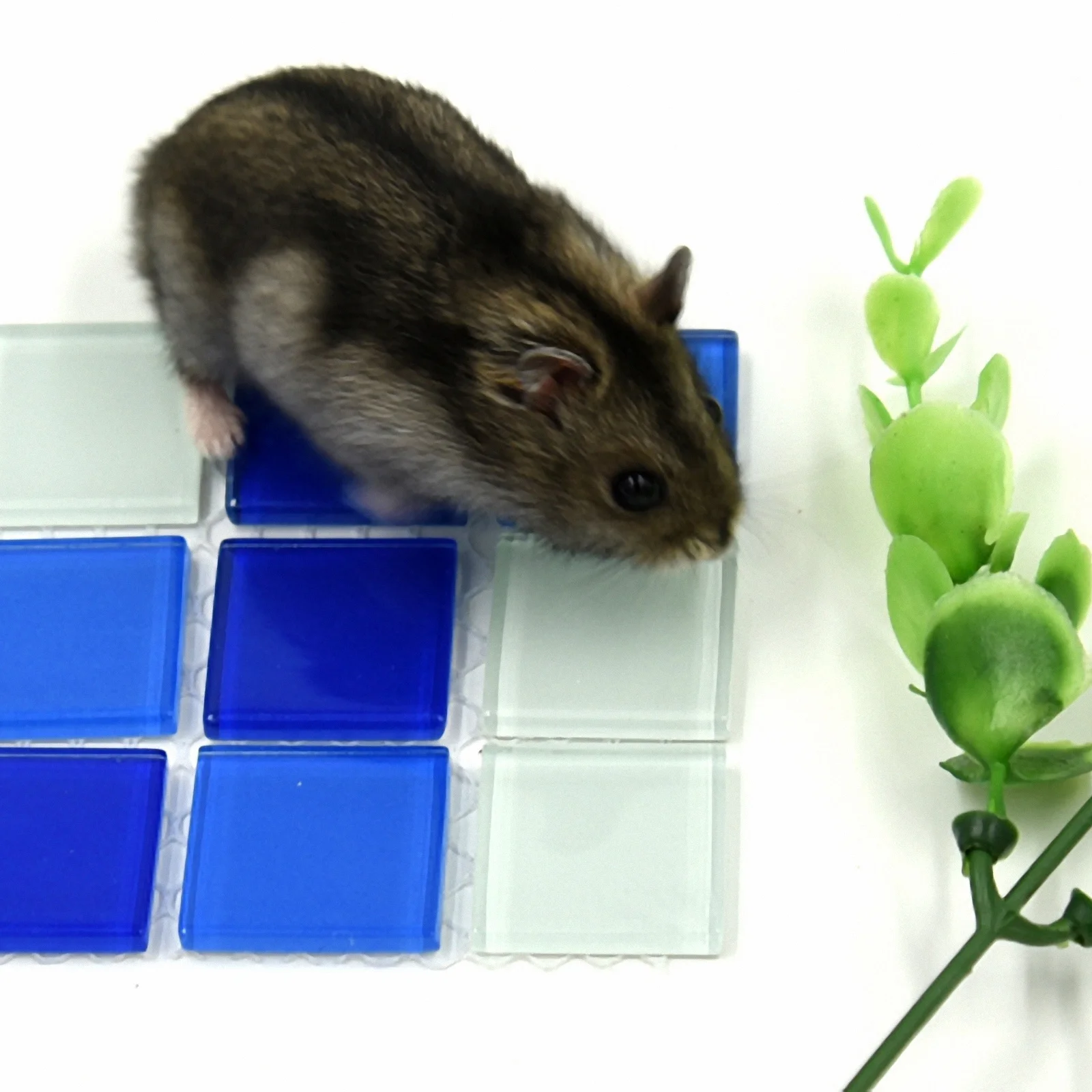 

2Pcs Summer Cooling Cushion Hamster Pet Sleeping Mat Heat Dissipation Pad Cool Mattress Blue Sleeping Mat