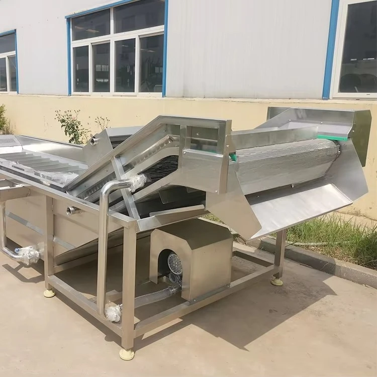 Bubble Pangasius Fillet Mackerel Anchovy Shrimp Fish Washing Machine