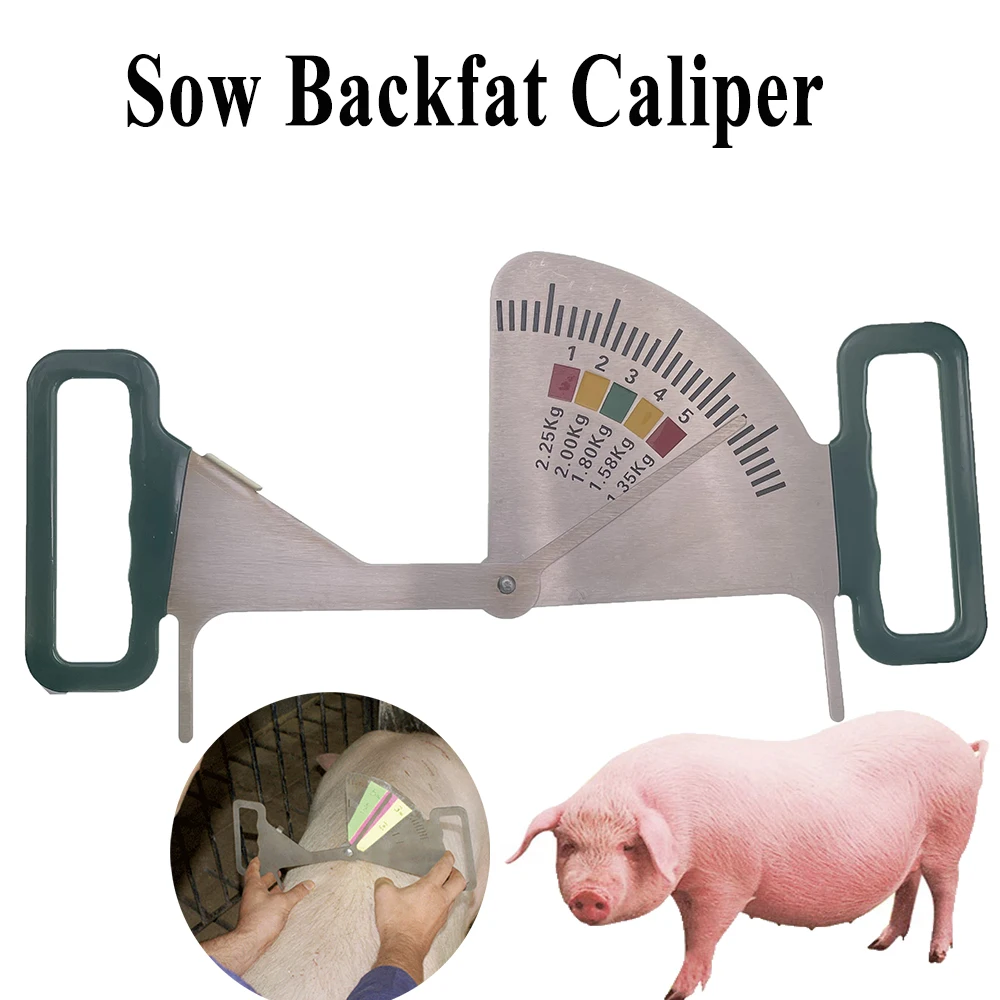 

1PCS Sow Backfat Caliper Scale Determination Feeding Management Ruler Gestation Guide Body Condition Control Pig Farming Tools