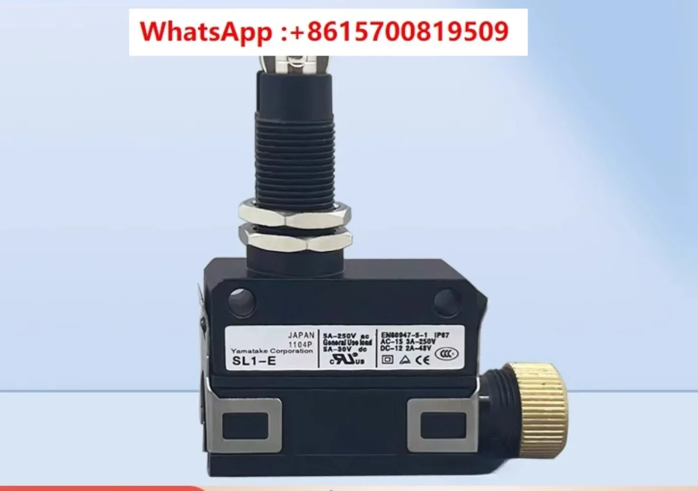 Waterproof micro switch SL1 A E H D B P H EK AK travel limit switch