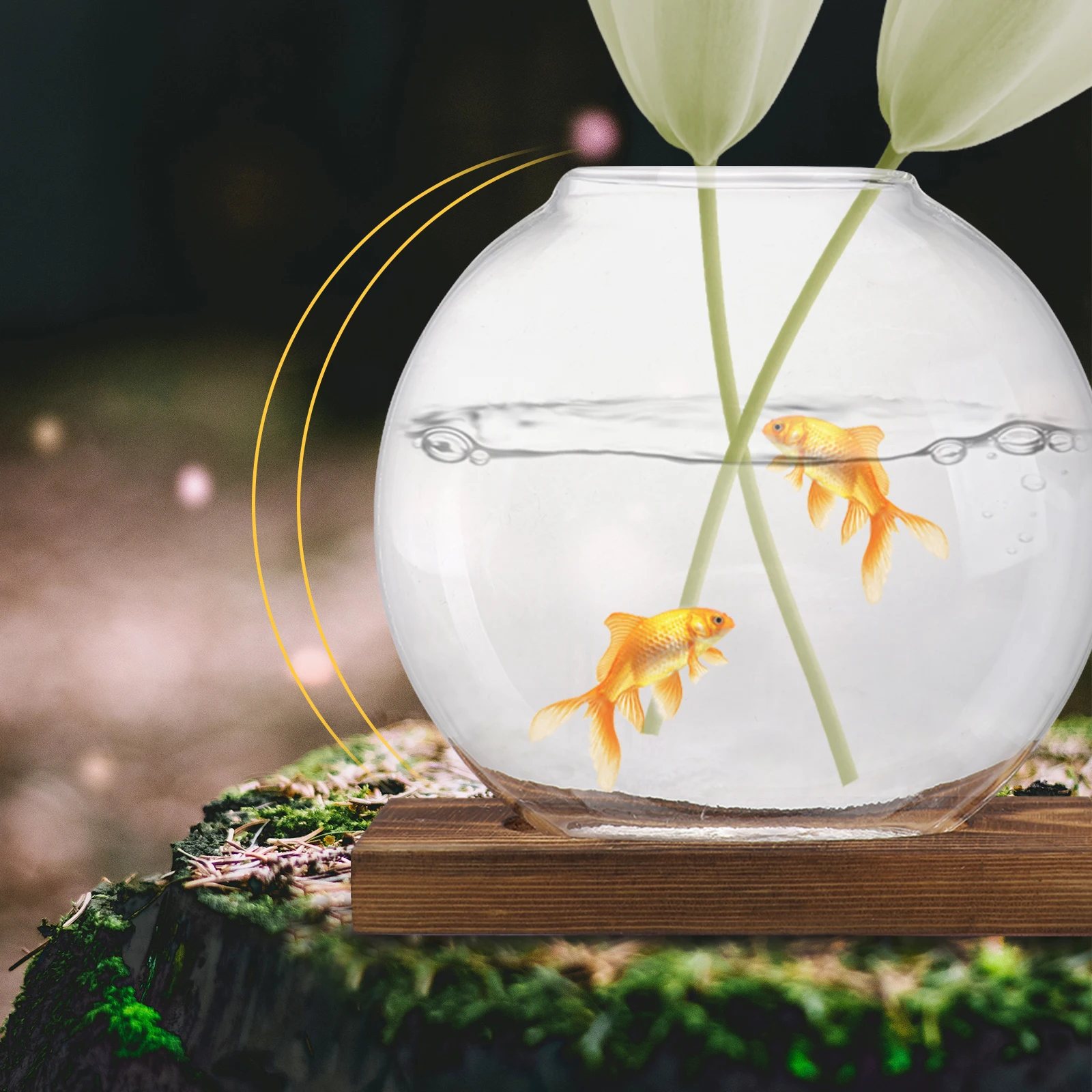 2 مجموعات الديكور Pothos المائية زارع زهرية قاعدة خشبية زارع زجاجي مكتب ديكور المنزل شفافة يقلل من التنظيف