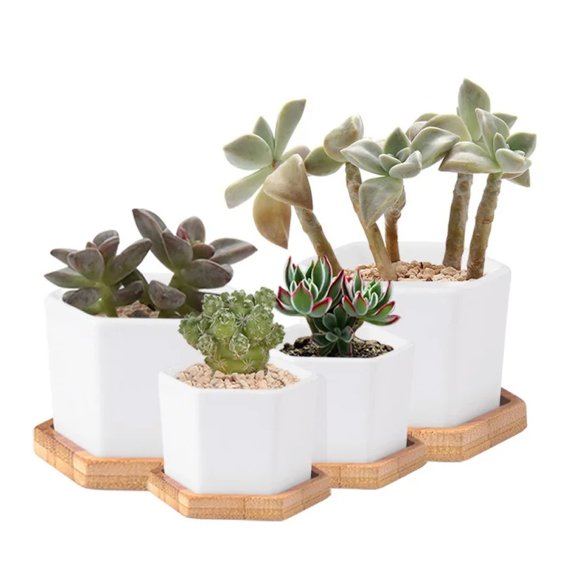 1pc Round Bamboo Tray for Plants Succulent Dish Garden Home Decor Wooden Artcraft Cup Mat Plant Pot Holder Table Decoration