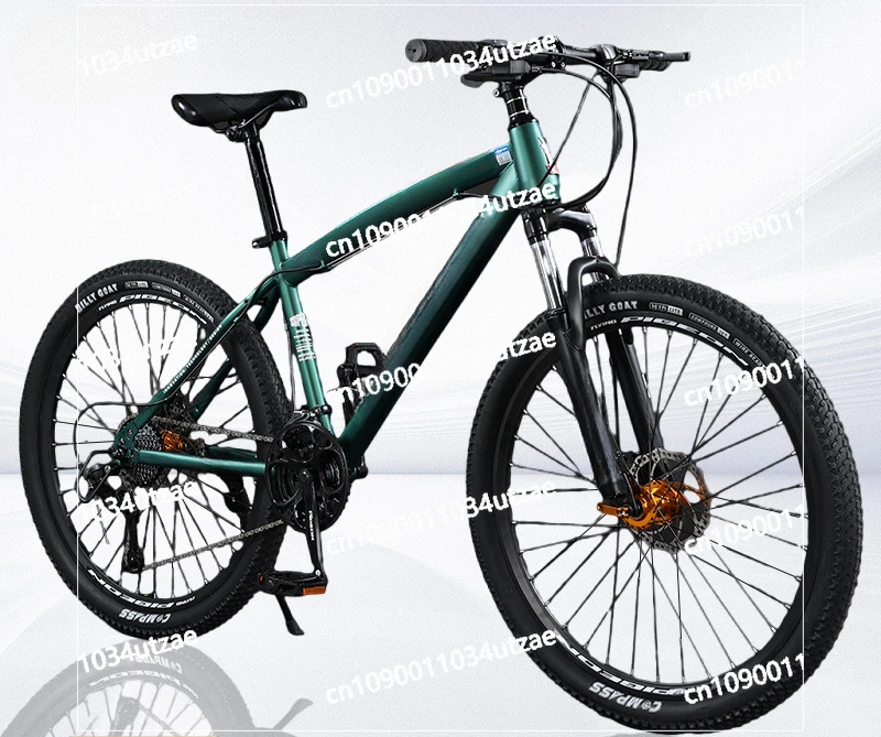 Off-road Variable Speed Mountain Bike