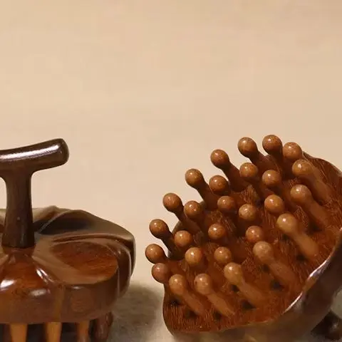 

Multi-Functional Therapy Massage Comb Circular Tooth Guasha Scraping Body Massager Blood Circulation Petal Scalp Head Massager