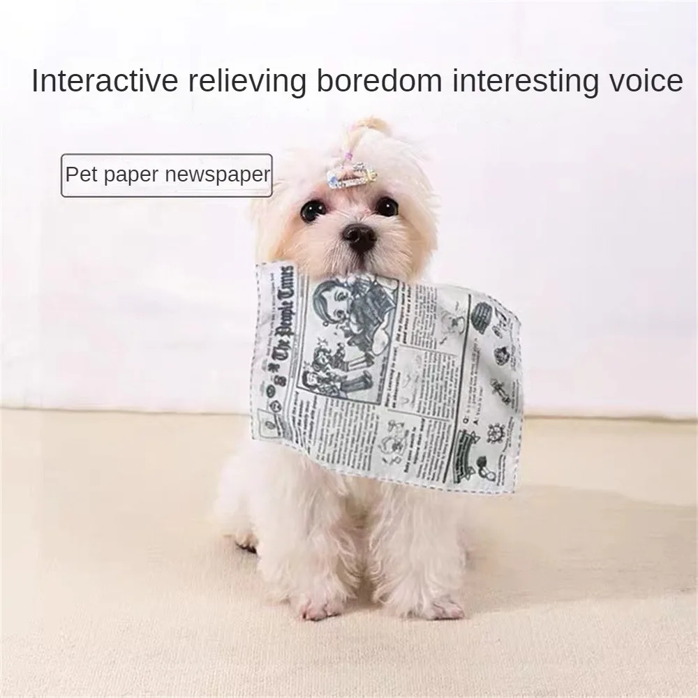 Pet Toy Educational Interactive Colorful Bestseller Safe Must-have Entertaining Pet Toy Voice Toy Fun Relieves Boredom Non-toxic