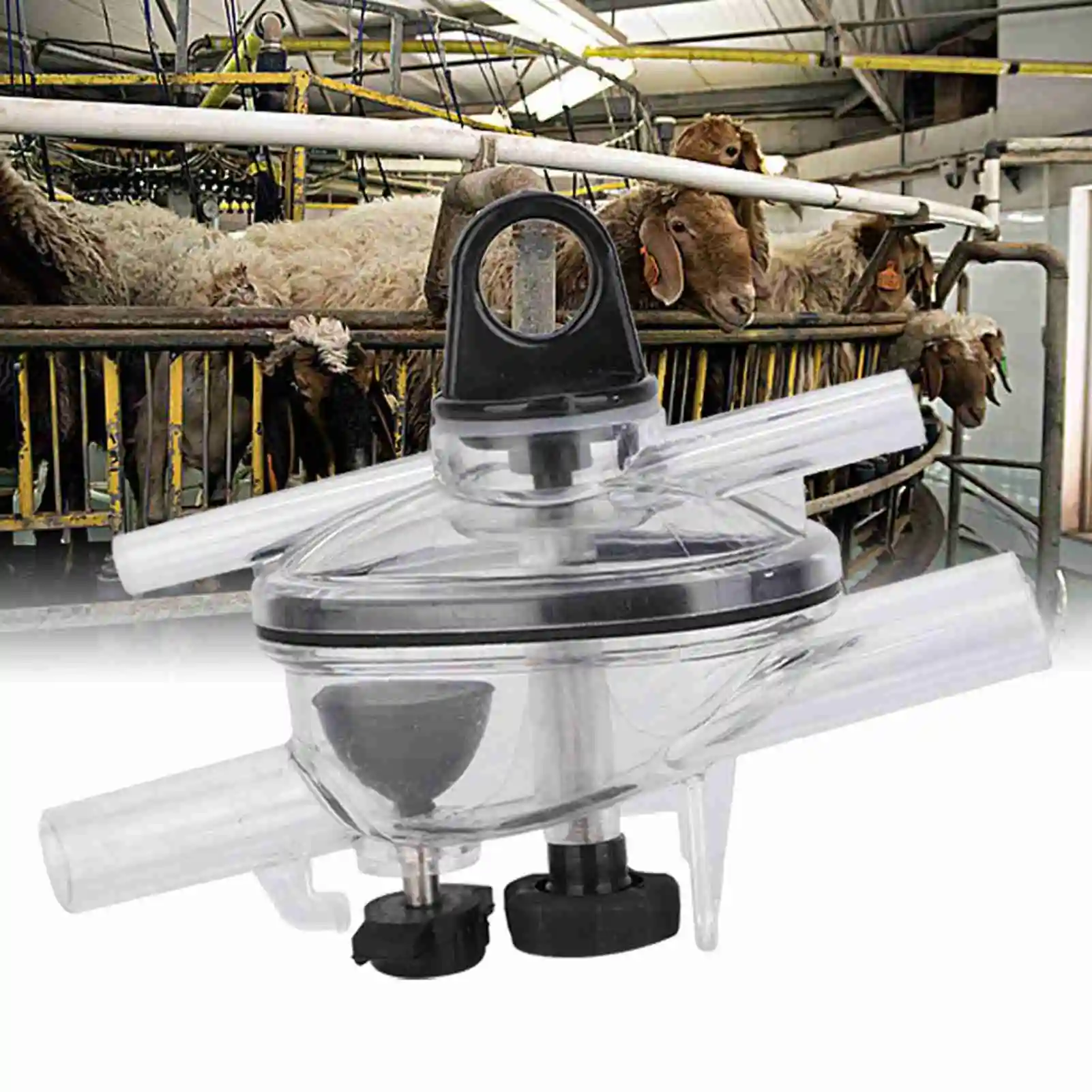 50 ml Ziege Schaf Melken Klaue Milch Sammler Tasse Ziege Melkmaschine Teil Für Mobile Trolley oder Melksystem