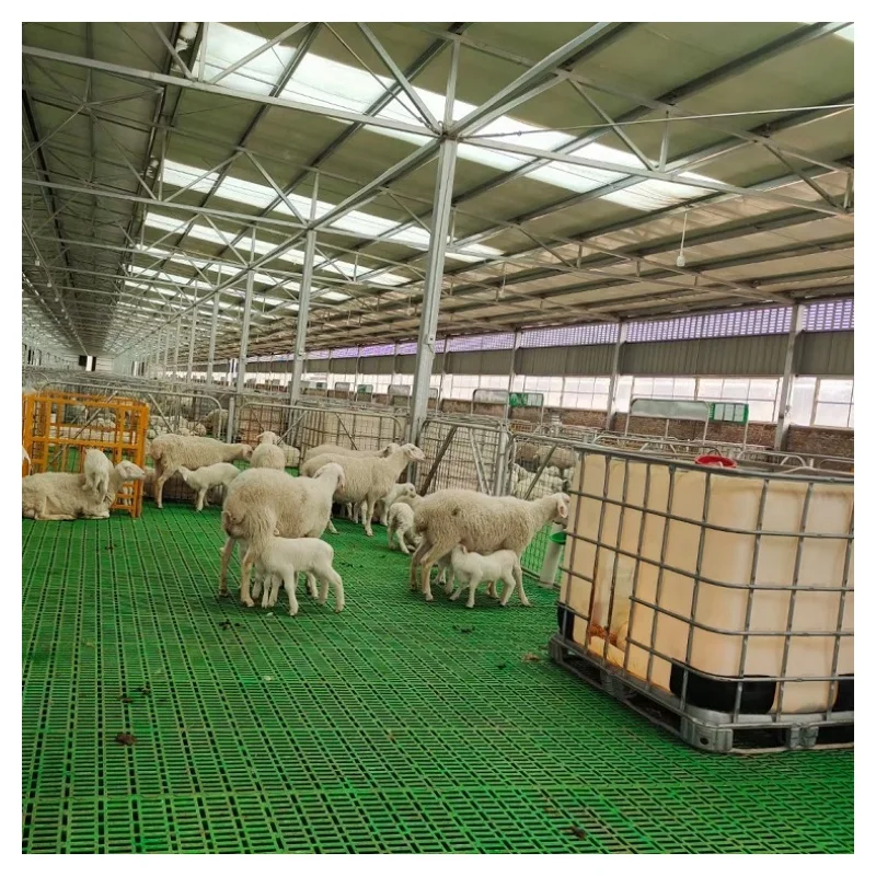 Goat Farm Equipment Plastic Slatted Floor For Goat Price 600*600mm Plastic Slatted Floor For Sheep Farming