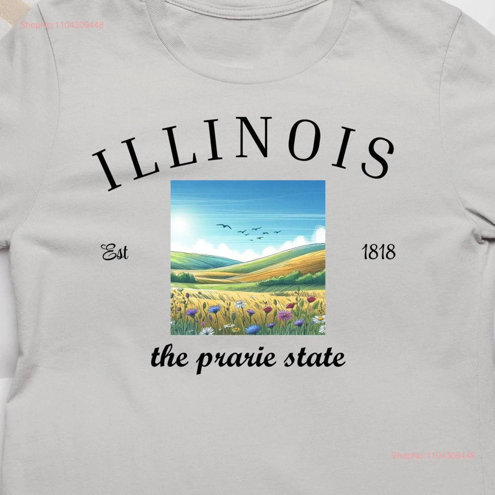 Il state. Il state
