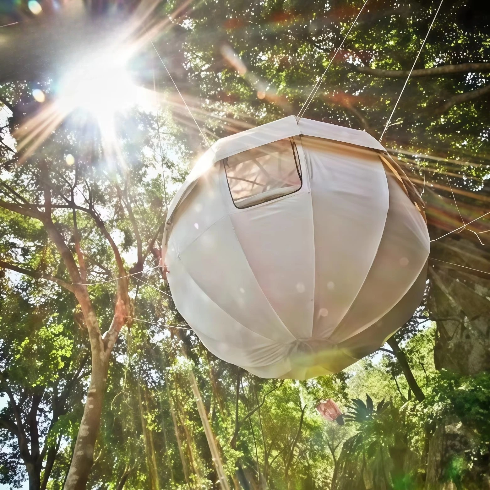 Personalized Custom New Creative Tree Hanging Tent Portable Durable Outdoor Camping Aerial Tree Tent