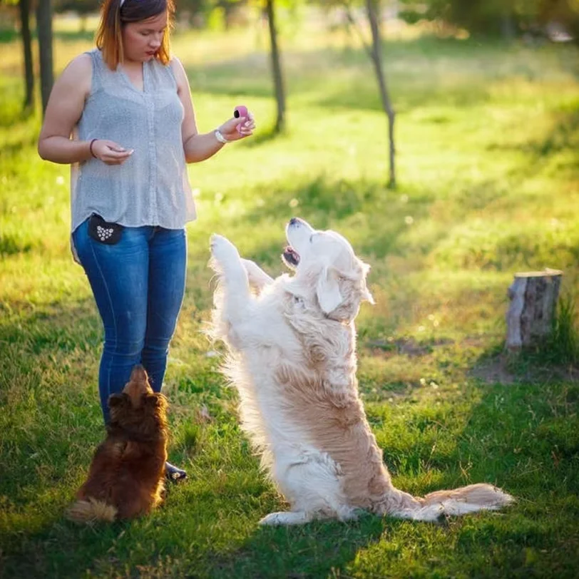 Pet Training Clicker Sound Clicker Dog Training Sounder Clicker Sound Guide Durable Training Clicker for Dog Pet Dog Supplies