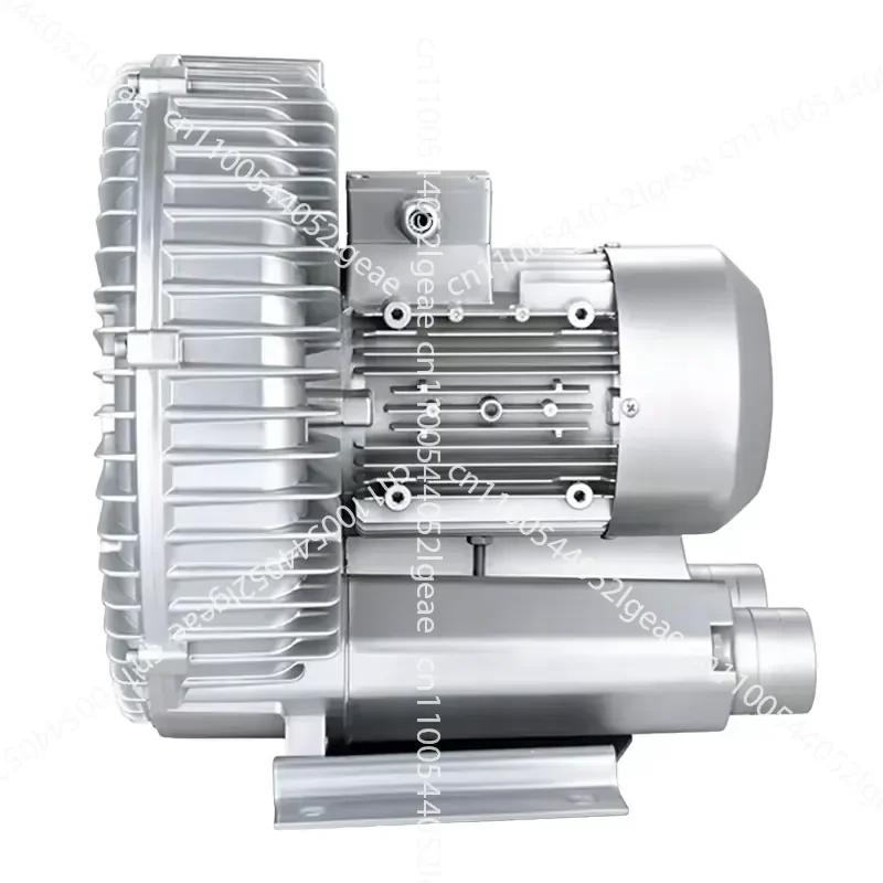 High HP Single-phase Inflatable Blower Pump High Pressure Annular Vacuum Pump