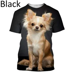 Fashion Animal Dog 3D Printing T-shirt Funny Chihuahua Dogs Casual T Shirt Cool Short Sleeve Tees