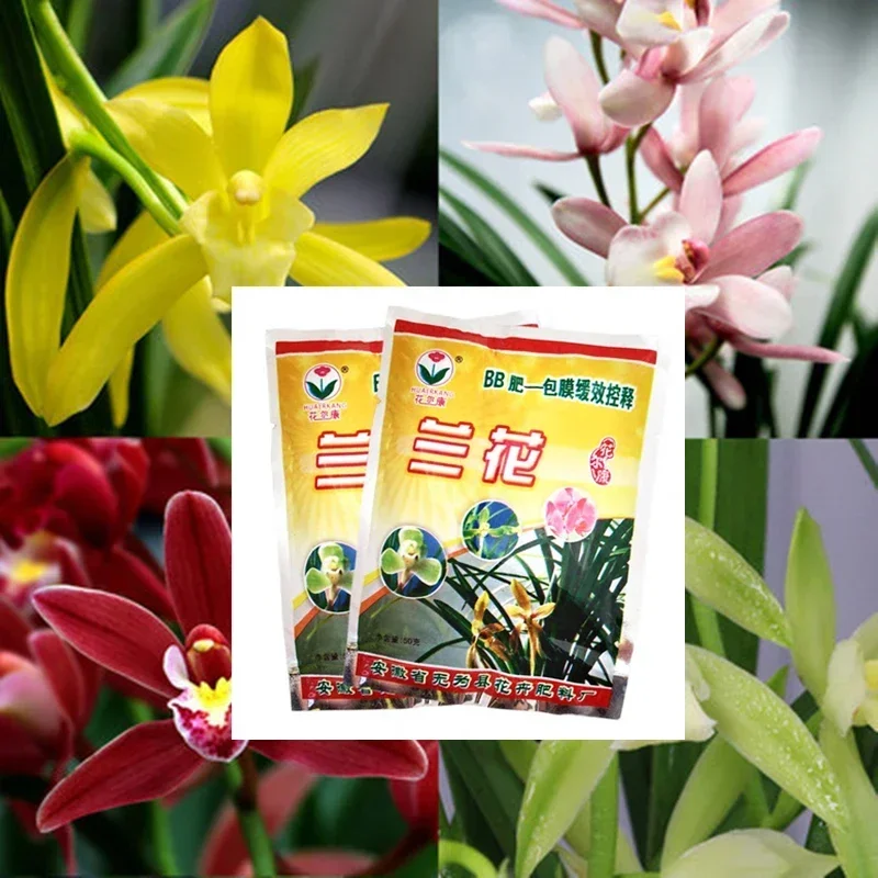 10pcs Orchid Flowers Special Compound Fertilizer Slow Effect Controlled Release Agent