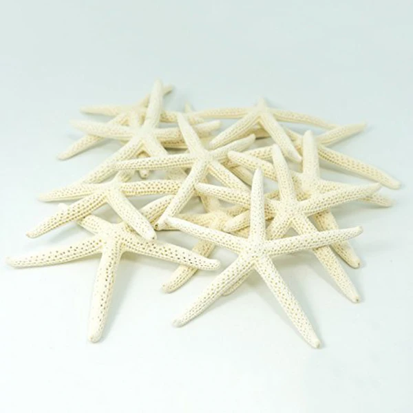 Promotie! 12 STKS Witte Vinger Zeester 5-10 Cm Decoratieve Vijf Vinger Zeester