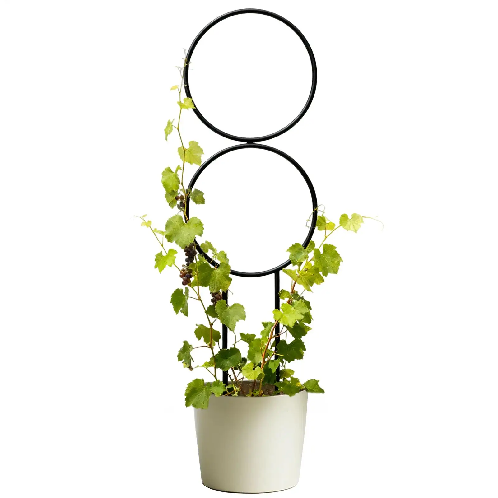 Garden Trellis Plant Iron Climbing Plant Support With Black Rust Proof Coating For Indoor Flower Vine Trellis For Decoration