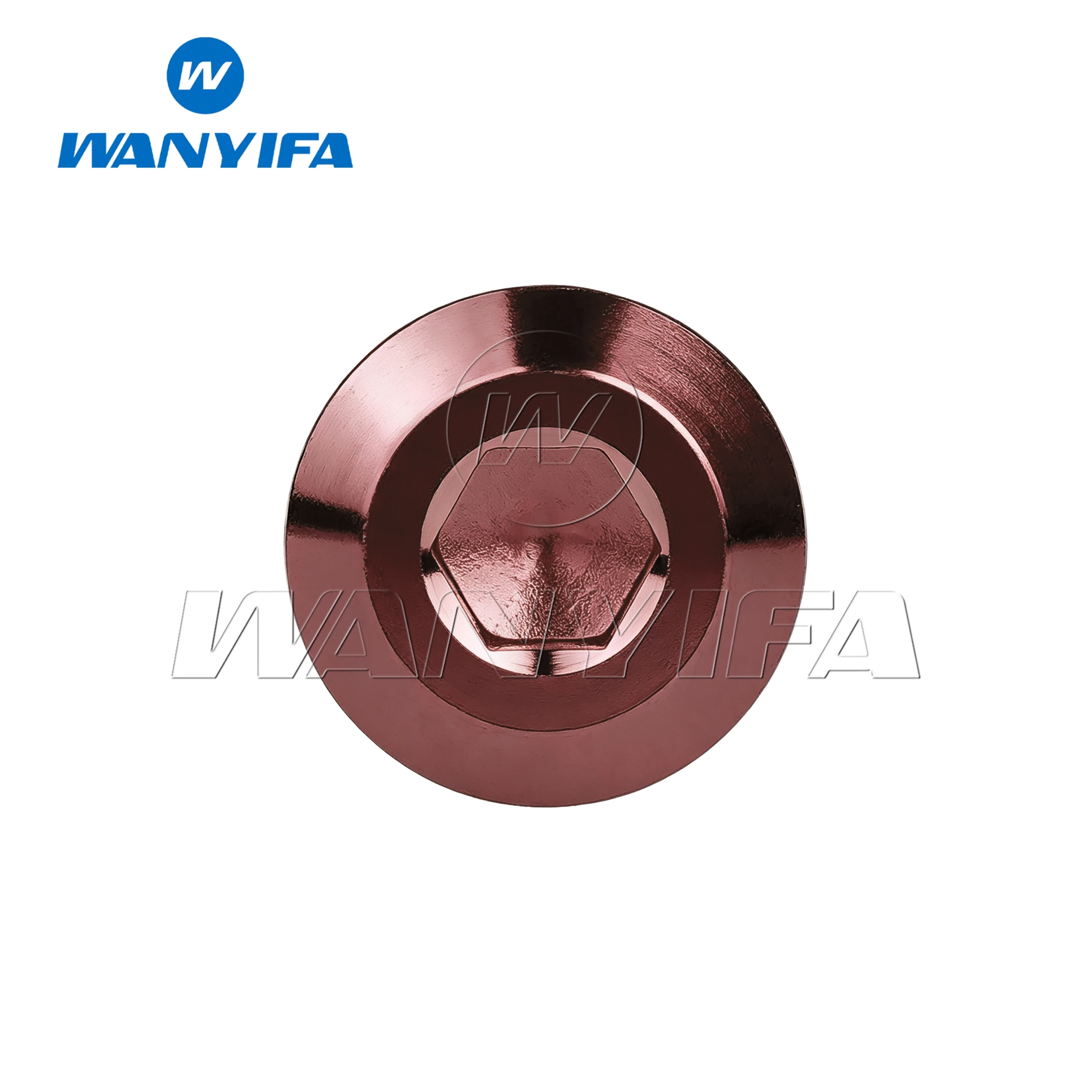 Wanyifa Titanium Ti Bolt M8x15 20 25 30 35 40mm Allen Key Head Screw for Bicycle Motorcycle Brake