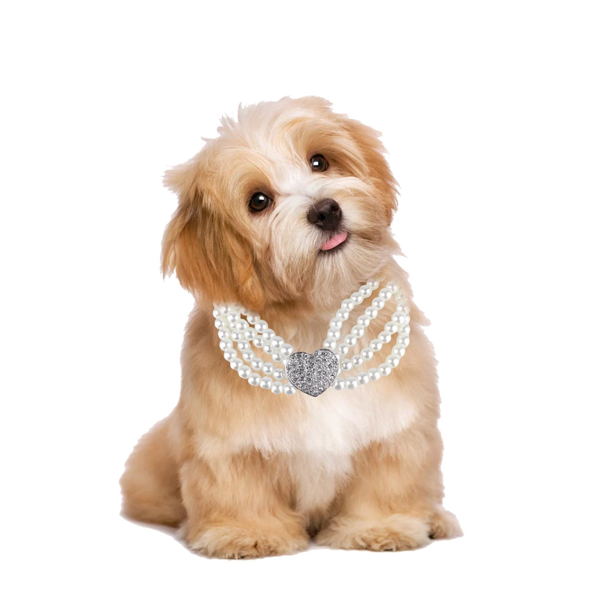 

Dainty Necklace for Pets Crystal Heart Design Sturdy Dog Jewelry Photo Sessions Special Occasions Pet Pendant Dog