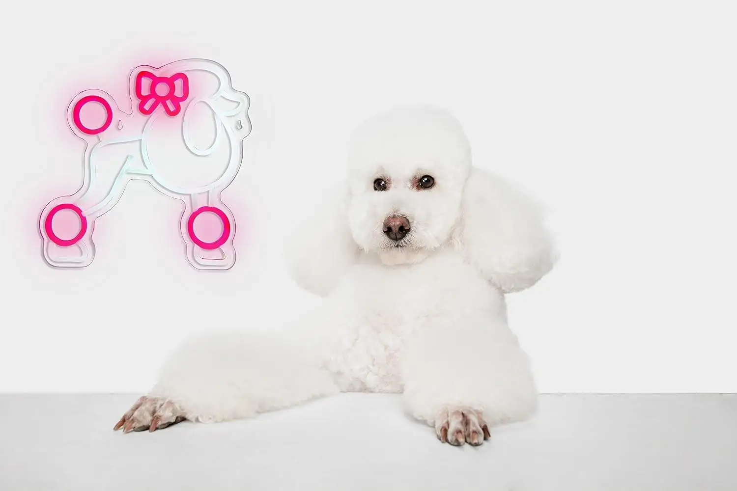Poodle Dog Neon Sign Dimmable LED Wall Decor Light Up Sign for Bedroom Kids Room Cute Animal Art Birthday Gift for Dog Lovers