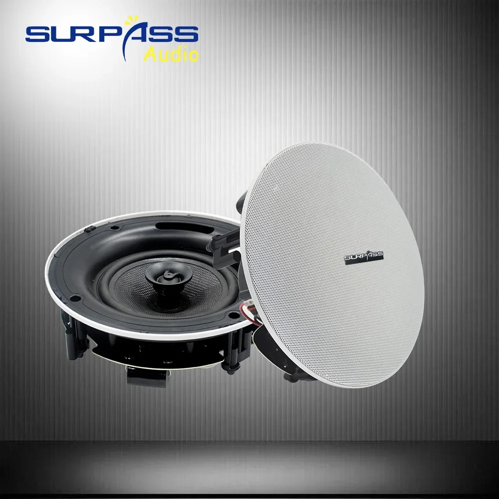 Big Power Coxial Ceiling Column Loadspeaker Background Music BGM System 8Ohm RMS 40watts Bass Tweeter Speaker Horn