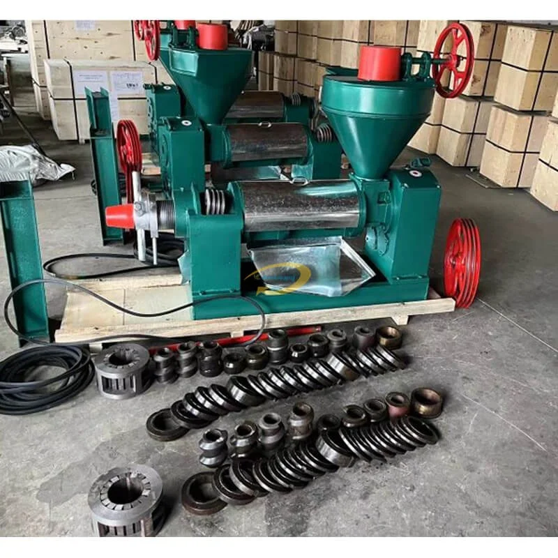 Venta caliente de semillas de Neem domésticas, comida de coco, aceite de Canola de Marula, máquina de aceite de extracto de algas marinas de frijol de cacao