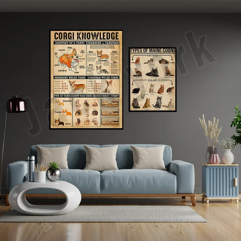 Corgi Knowledge, Corgi Lovers Poster, Types of Maine Coon Cat Knowledge Poster, Maine Coon Poster, Cat Knowledge Poster
