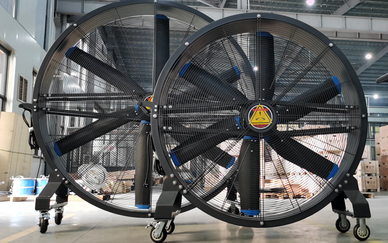 تستخدم صالات رياضية مروحة أرضية كبيرة الحجم بقطر 2 متر