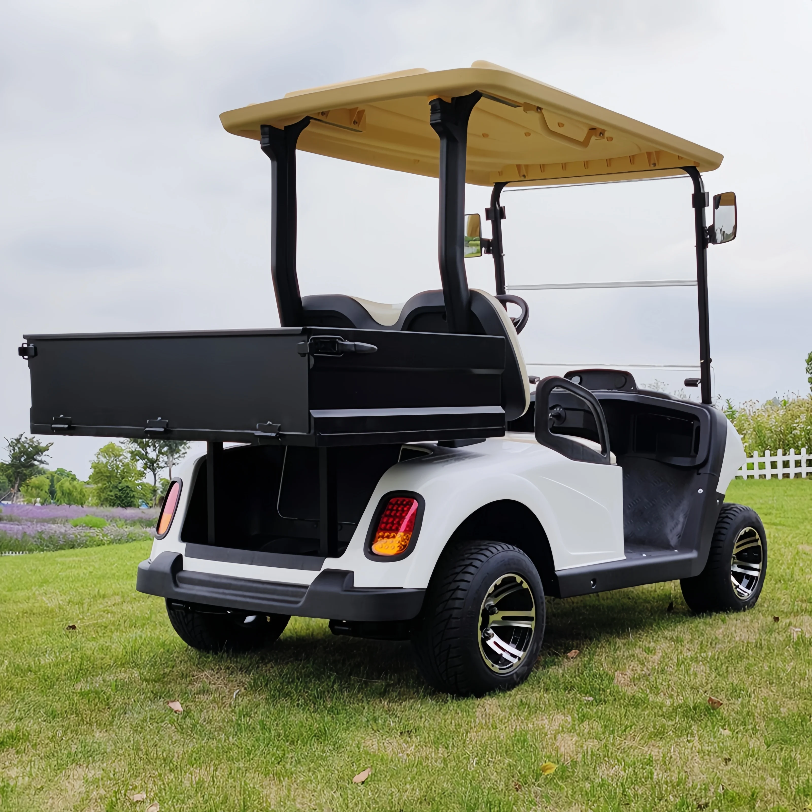 2025 جديد 4 أشخاص بطارية الرصاص الحمضية على الطرق الوعرة الكهربائية الصيد عربة جولف الشارع القانوني الكهربائية على الطرق الوعرة مركبة EEC/DOT شهادة #5
