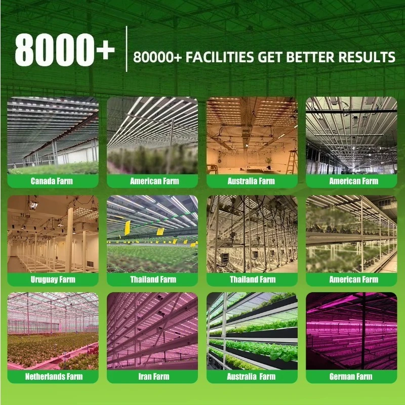 مصنع زراعي عالي الإنتاجية مصباح زراعي داخلي عشب حديقة عدة متكاملة Led تنمو ضوء بأفضل الأسعار