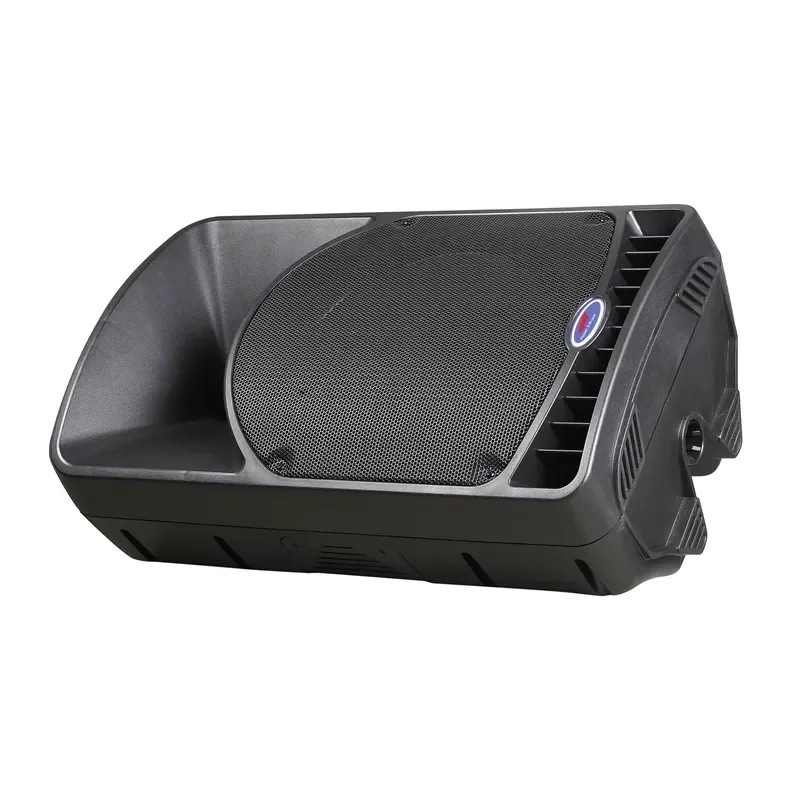 12 Inch Portable PA Speaker System Active Bidirectional Sound Box With Class D Amp DSP For Stage Live Performance Voice