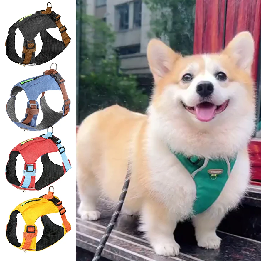Thumbnail 2 - #15 New Dog Car Safety Harnesses Arrivals