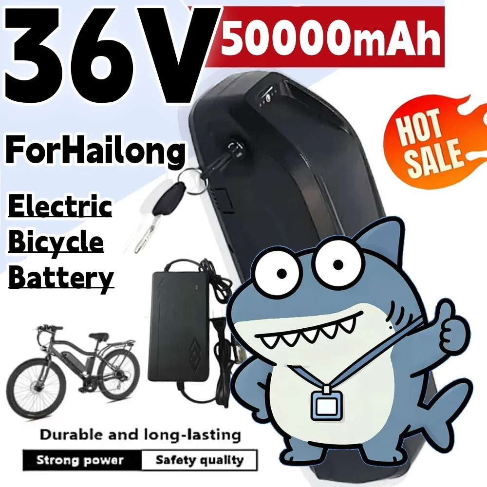 🔥36v for Hailong 50Ah Motorcycle/bicycle Ncr18650b 500w-3000w Motor Lithium Battery💎