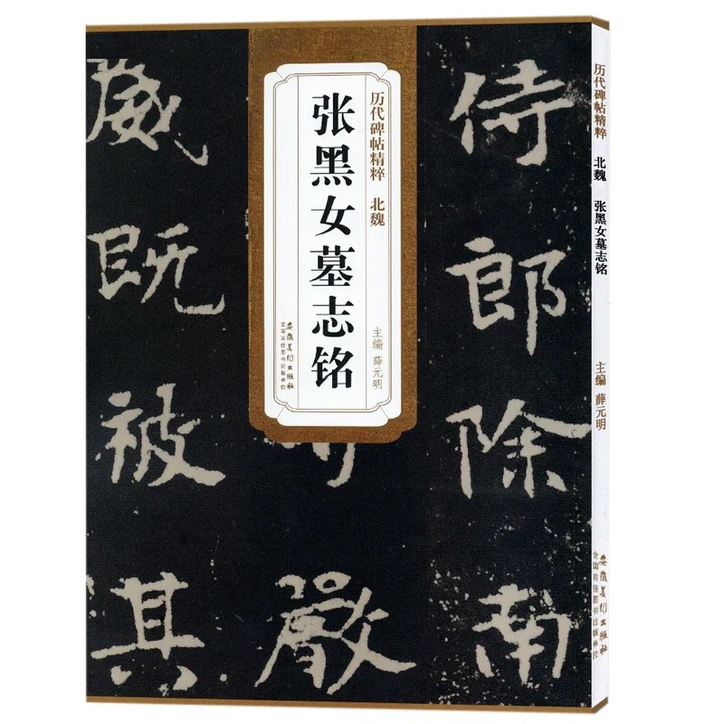 Zhang Heinv Epitaph Regular Script Brush Calligraphy Copybook Chinese Original Inscription Calligraphy Brush Practice Copy Book