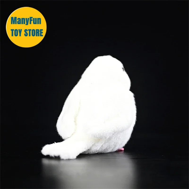 الأبيض جافا سبارو عالية الدقة فينش بلوشي جافا الأرز الطيور ألعاب من نسيج مخملي نابض بالحياة الحيوانات المحشوة لعبة محاكاة للأطفال #6