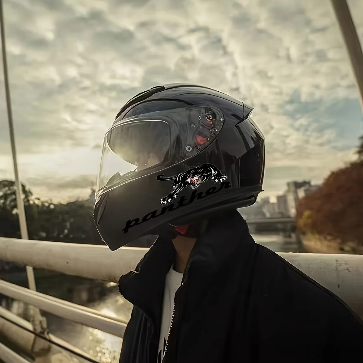 2Pcs Tiger Head Motorcycle Helmet Sticker - Durable waterproof PVC sheet with bold "WHY SO SERIOUS" design