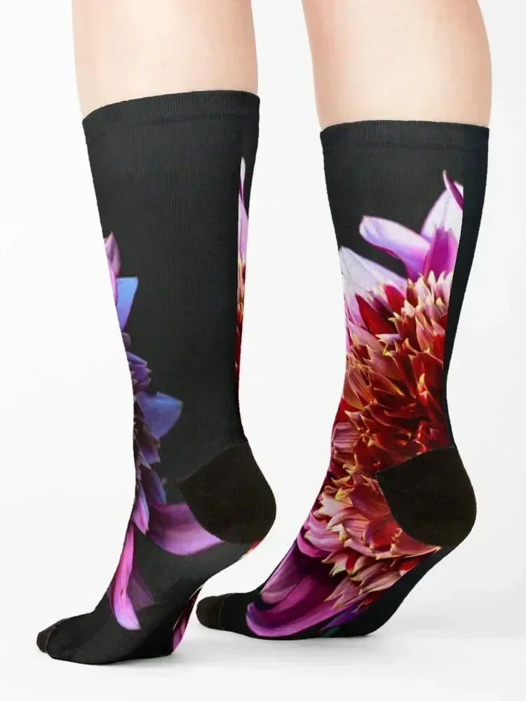 Mambo Dahlia Still LIfe Socks tennis japanese fashion anti-slip Novelties Women Socks Men's