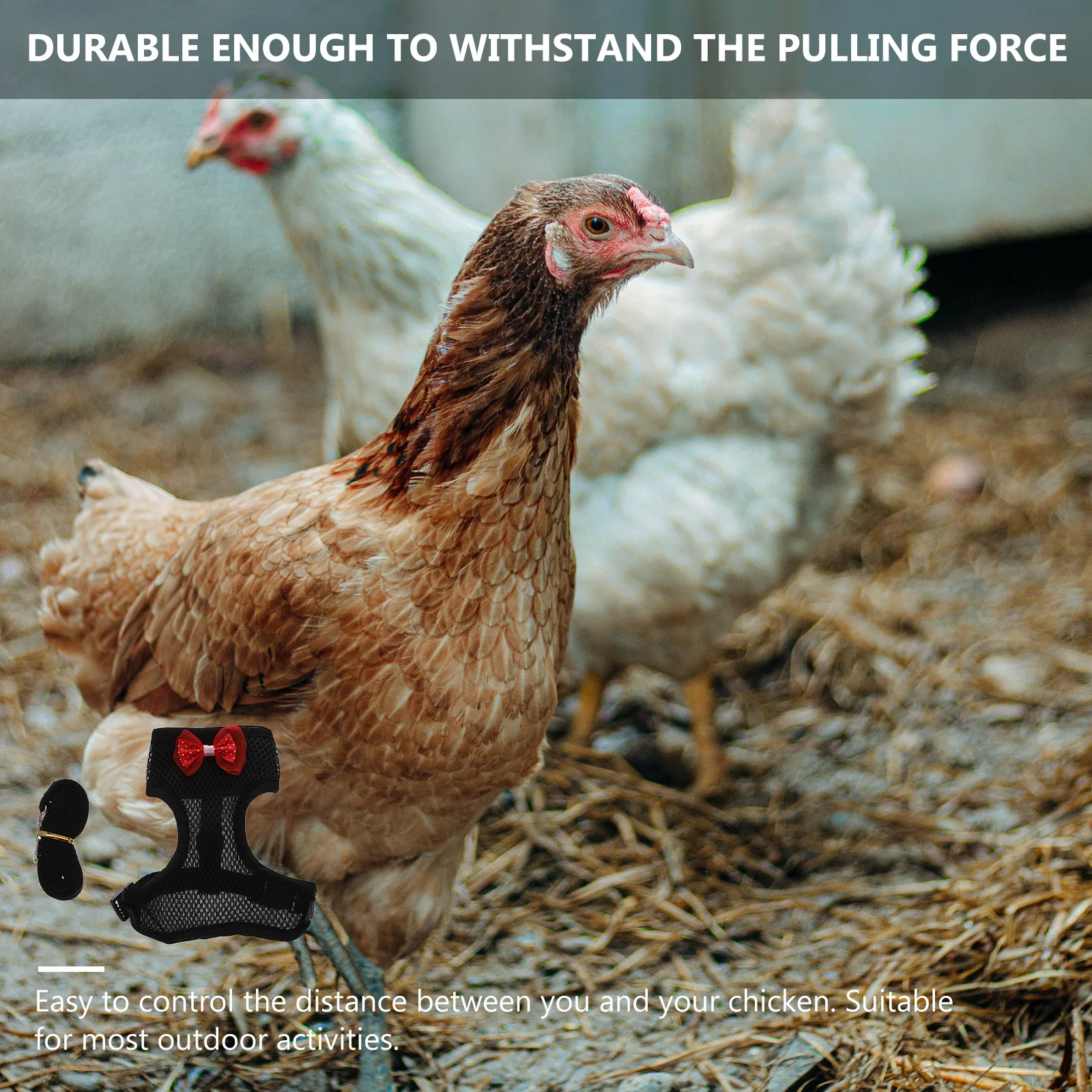 

1Set Durable Hen Leash Chicken Harness Rooster Pulling Rope Outdoor Walking Traction Strap Durable Rooster Harness
