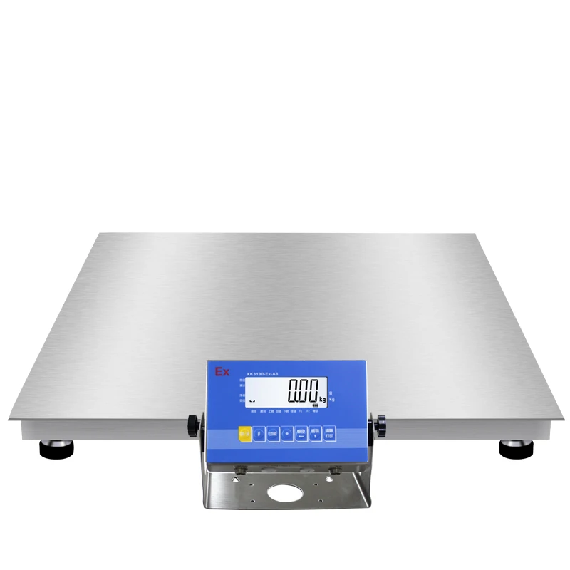 

304 Stainless Steel Alarming Scale Floor Scale With Indicator