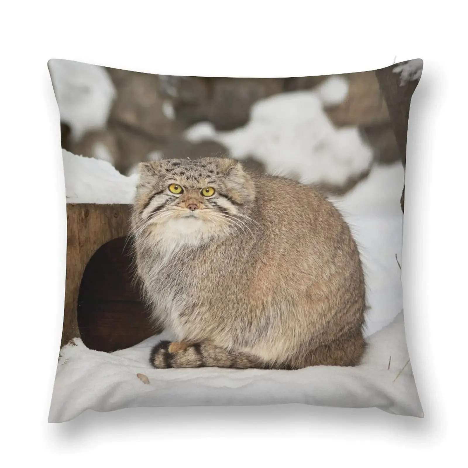 Eve the Pallas's Cat is enjoying a sunny day Throw Pillow Marble Cushion Cover Sofa Cover pillow