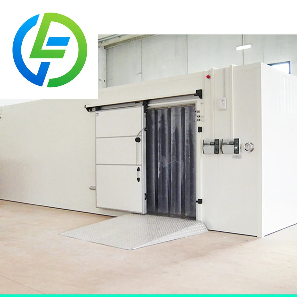 FL High Performance Freezer Room for Restaurants Energy-Efficient Walk in Freezer Room