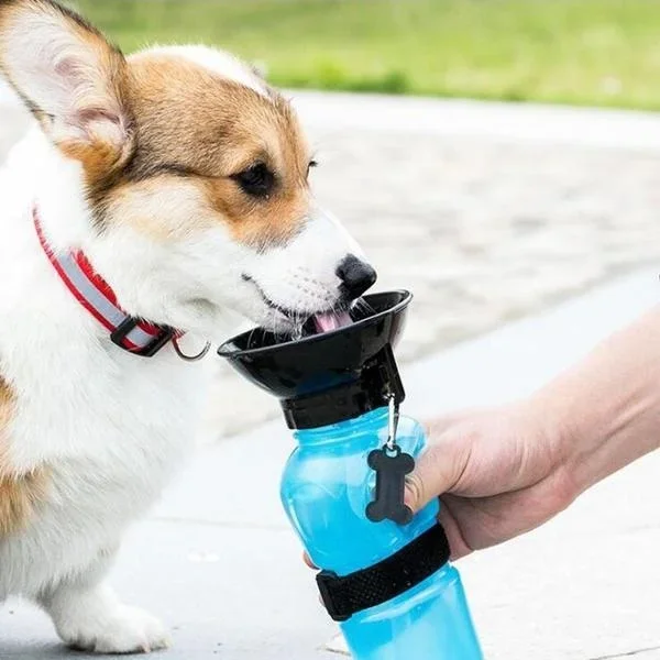 500ml Outdoor Portable Pet Dog Water Bottle Extrusion Large Dog Travel Water Cup Drinking Water Feeder Bowl for Dog Cat