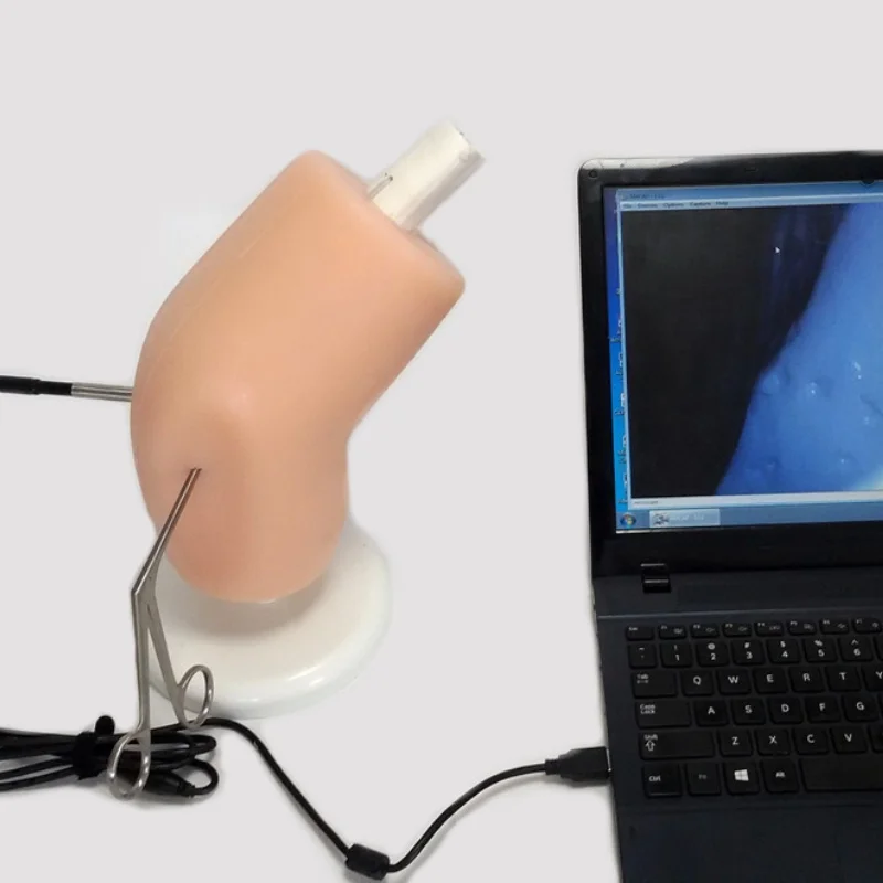 High Quality Knee Arthroscopy Simulator Orthopedic Knee Arthroscopy