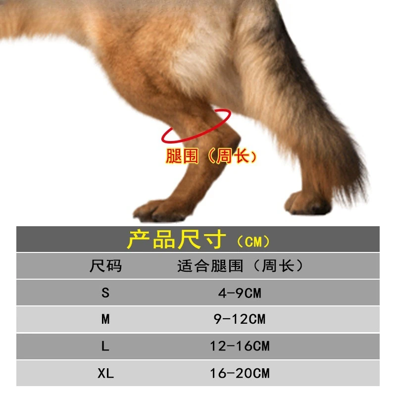 Disabled Dog Hind Leg Assist Hind Limb Weakness Fractured Instep