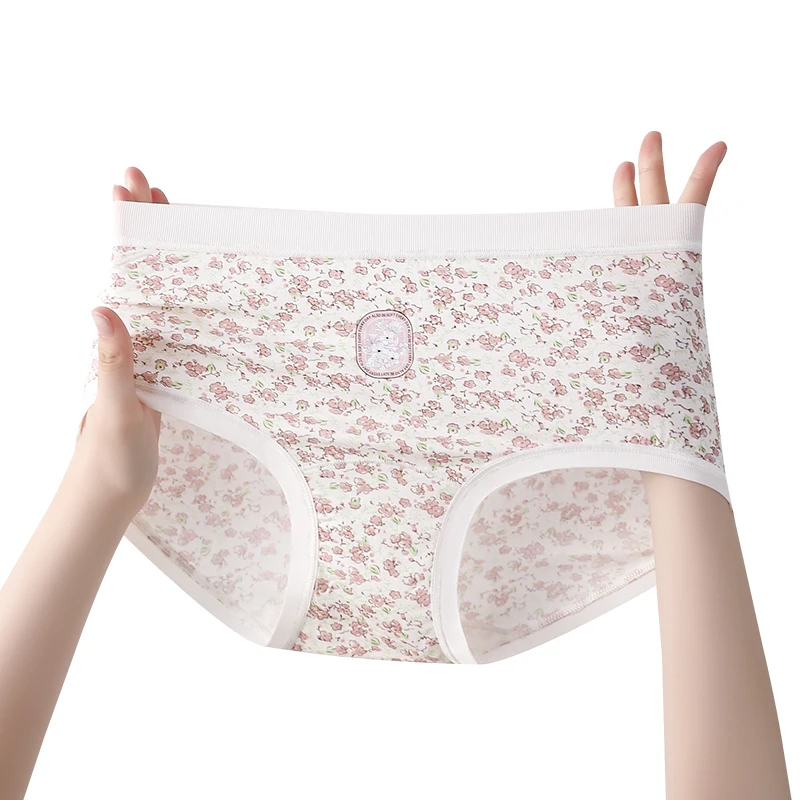 Fancy Underwear for Women High Waist Retro Triangular Panties Set Pack Women's Lingerie Sexy Accessories Briefs Lady Underpants