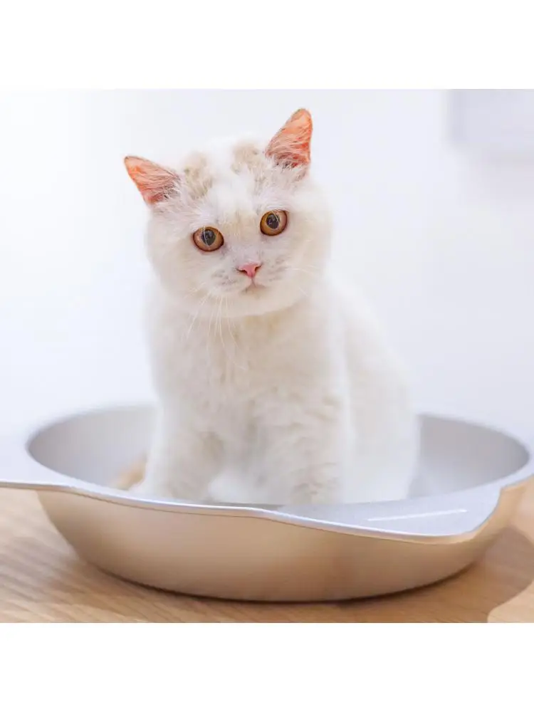 

Summer Cats Cool Down, Cat Tray, Heat Dissipation Aluminum Cat Litter, Ice Litter, Small Dog Kennel, Pet Supplies