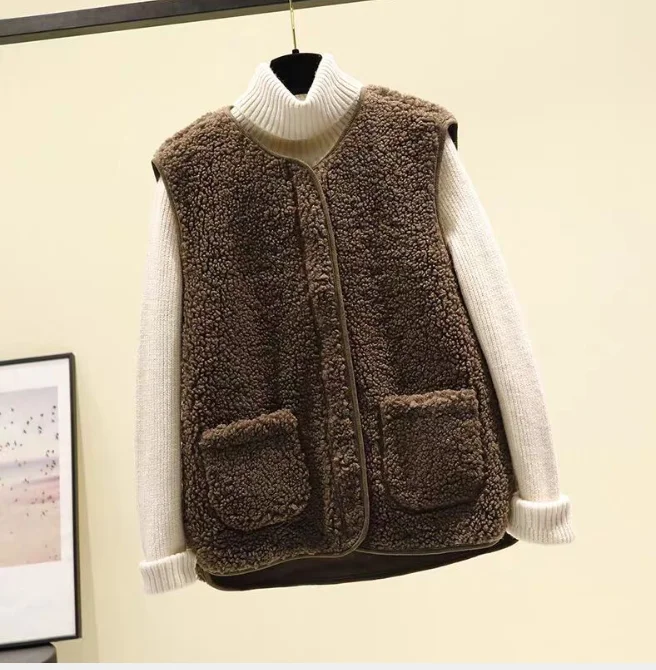 Autumn Winter Women's Vest Lamb Wool Korean Version Versatile Imitation Fur One Short Girls' Vest Zipper Coat Casual Beige