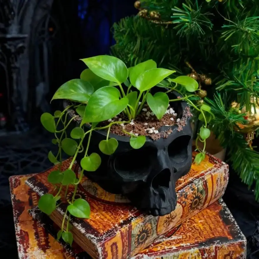Gothic Halloween Skull Hanging Planter,3D Printed Plastic,Lightweight Bohemian Indoor/Outdoor Pot,for Home Office Decoration