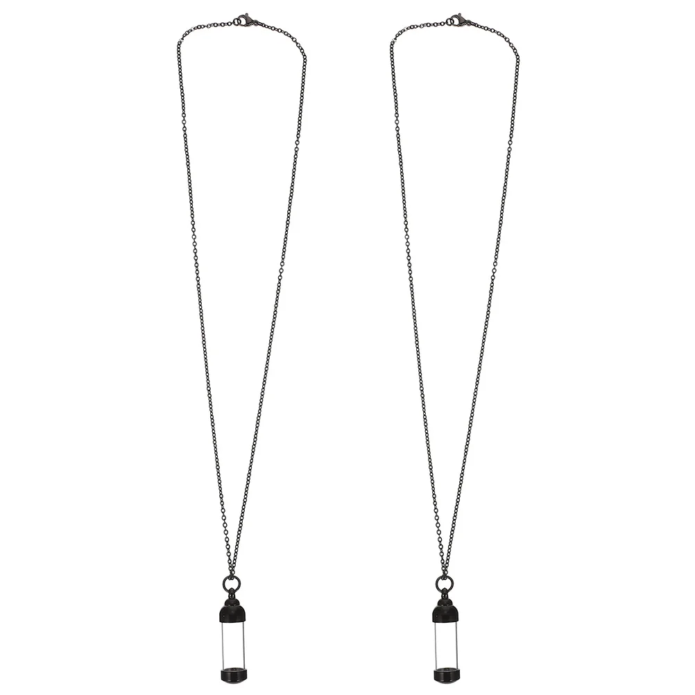 

2Pcs Pet Ashes Pendant Necklace Stylish Decorative Memorial Jewelry for Loved Ones Dog Urns Necklace for Ashes