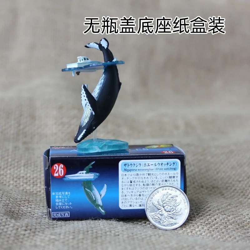 Japan Gashapon Figure Anime Cute Marine Life Series Whale Humpback Bottle Cap Model Action Figurine Capsule Toys Box Gift