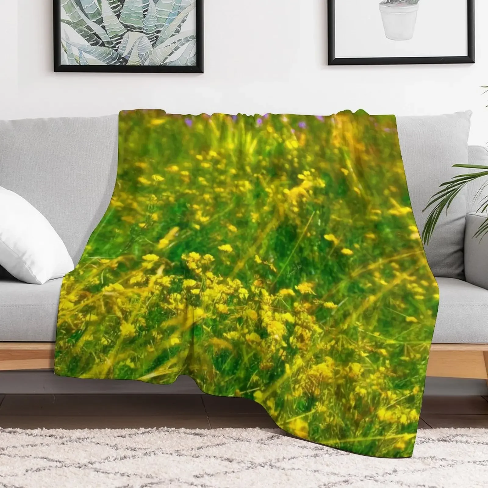 Meadow Afternoon, Photographic Impression Native Plants Throw Blanket Soft Home Decor Blanket for Couch Bedroom